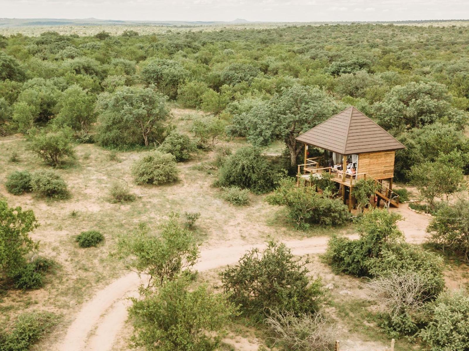 הודספרויט Maroelani Lodge- Greater Kruger Private Reserve חדר תמונה