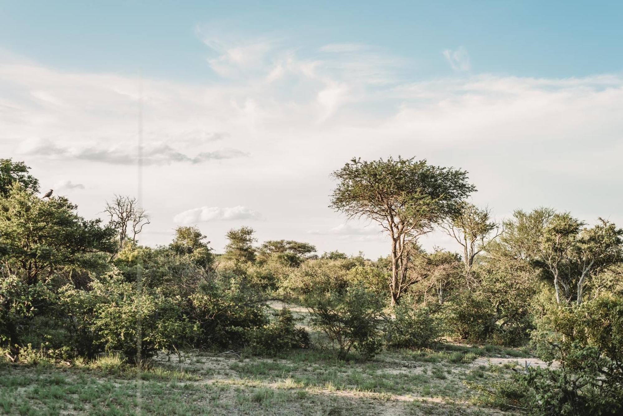 הודספרויט Maroelani Lodge- Greater Kruger Private Reserve מראה חיצוני תמונה